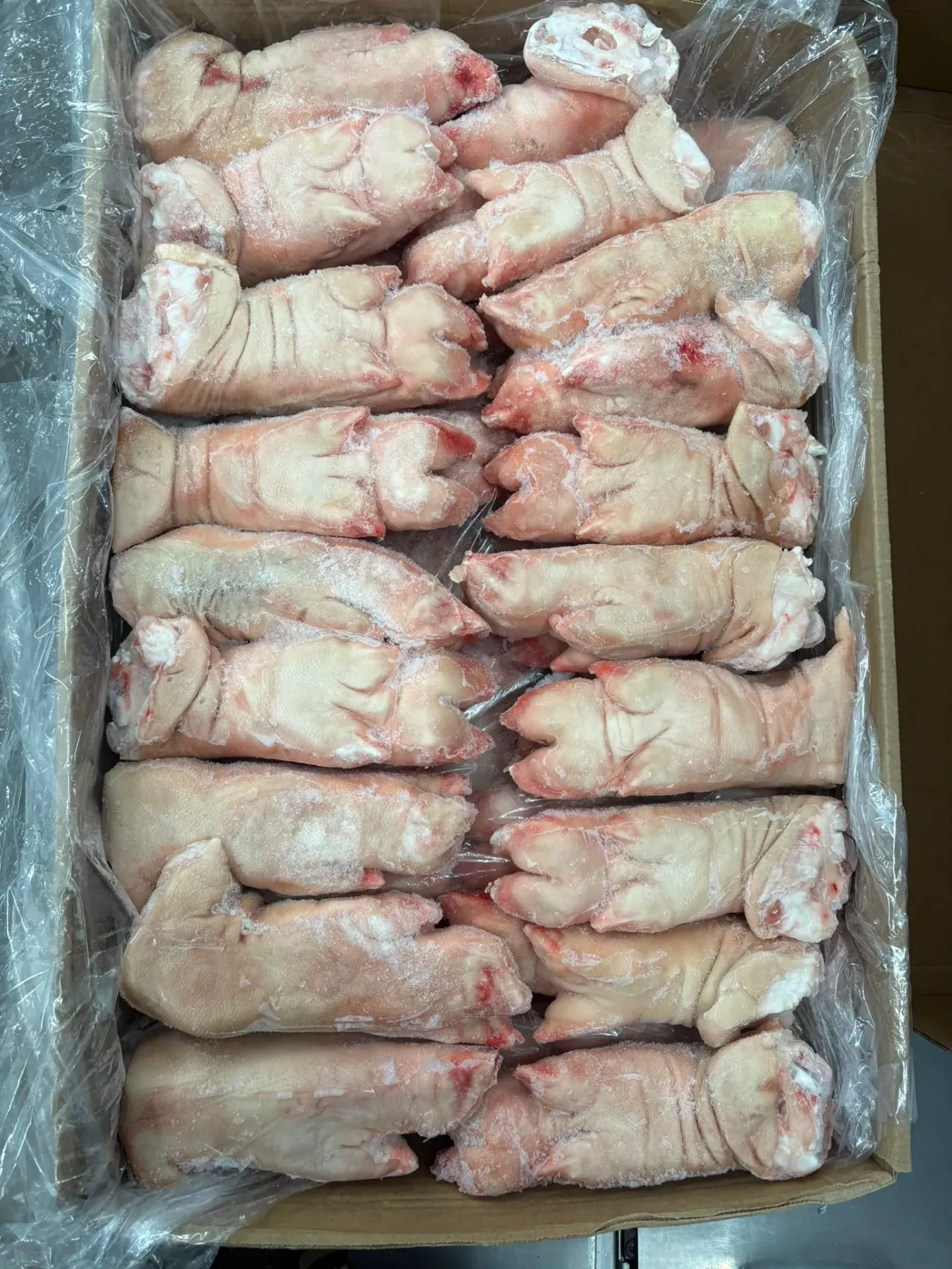 巴西 AURORA 豬手 22.1LB/箱