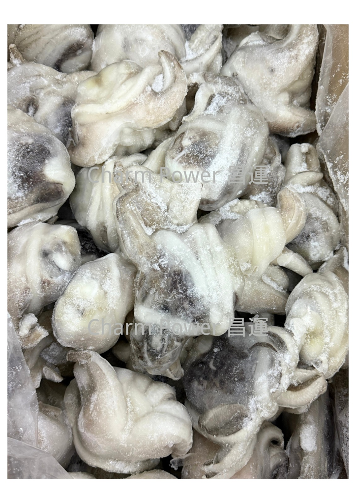 有皮墨魚頭IQF U-1 4.4LB/ 餅 26.5 LBS/箱