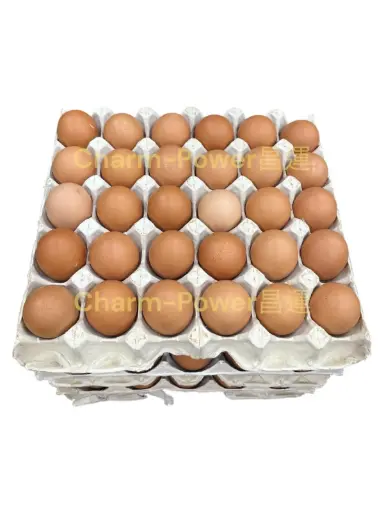 [CHCN001103] 中國 黃雞蛋--（30隻/pack)