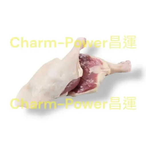 [DKCN001472] 中國 山東 生鴨髀 220-240G 22.1LB/箱